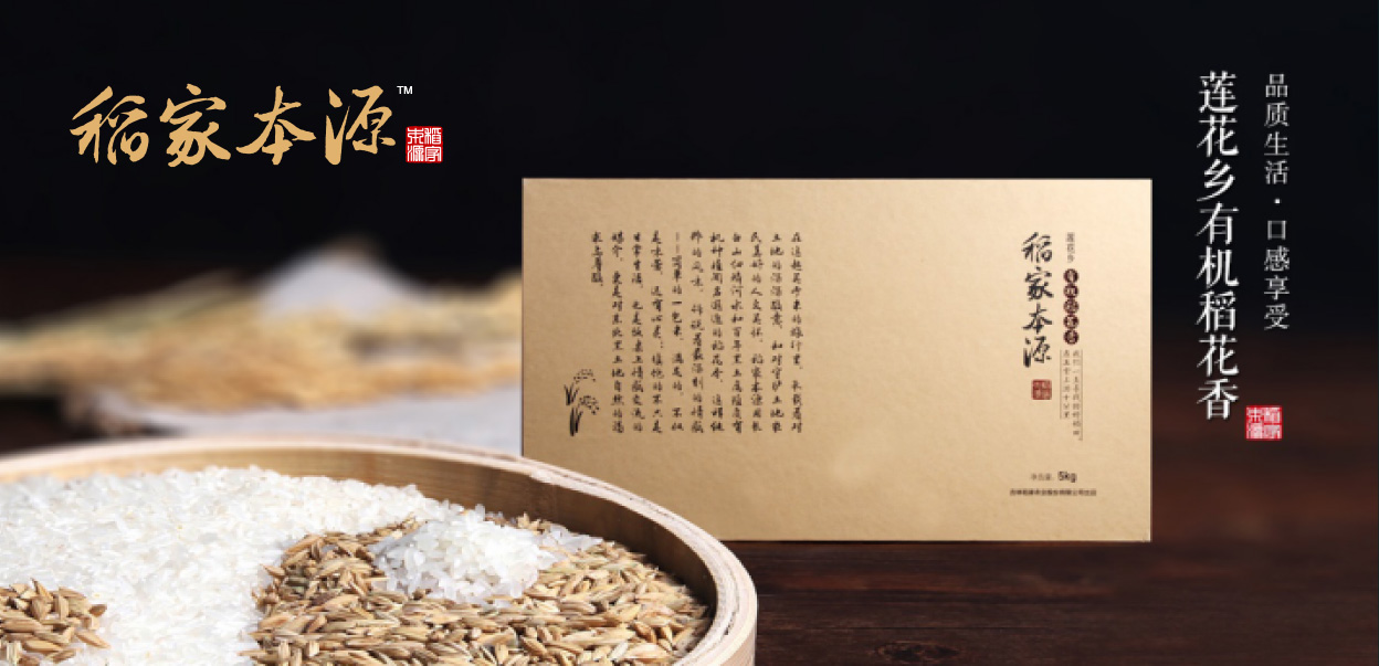 品牌策劃公司